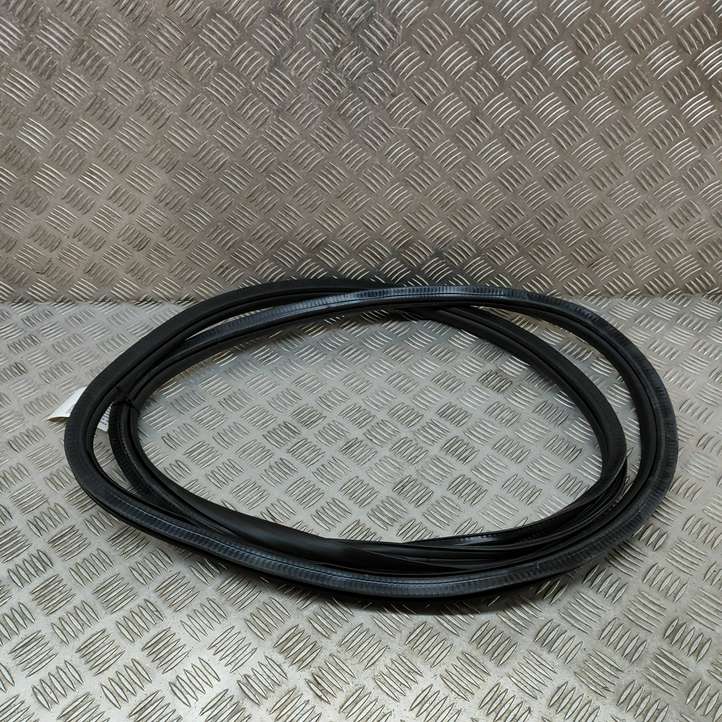 Mercedes-Benz EQE v295 (2022 - )  A2956970100 Уплотнительная резина передней двери (на дверях)