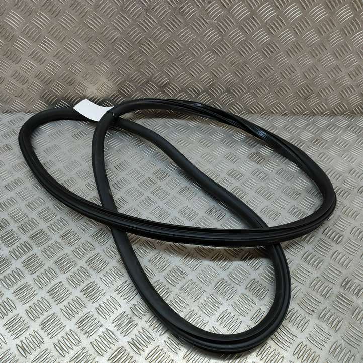 Mercedes-Benz EQE v295 (2022 - )  A2956970100 Уплотнительная резина передней двери (на дверях)