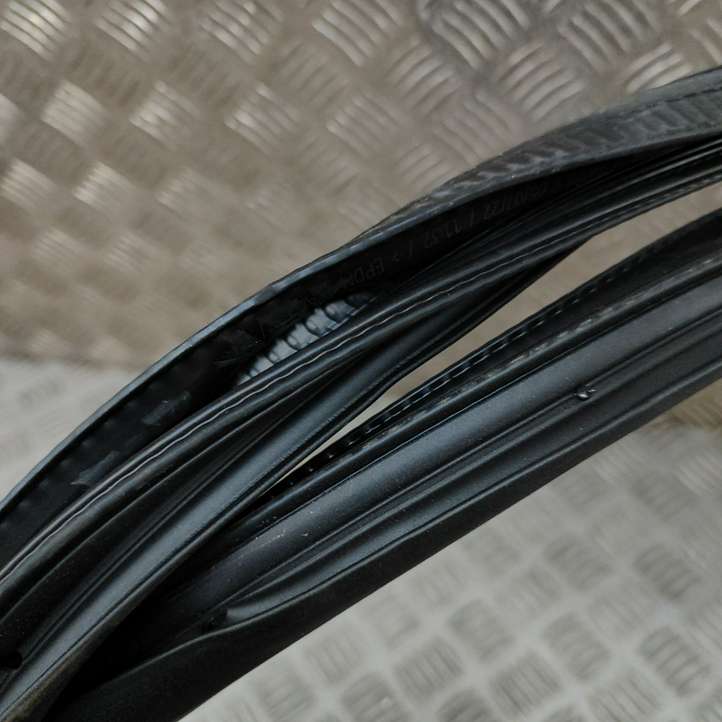 Mercedes-Benz EQE v295 (2022 - )  A2956970100 Уплотнительная резина передней двери (на дверях)