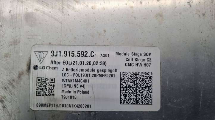 Porsche Taycan 9J1 (2019 - )  9J191592C Модуль аккумуляторной батареи гибридного автомобиля / электромобиля