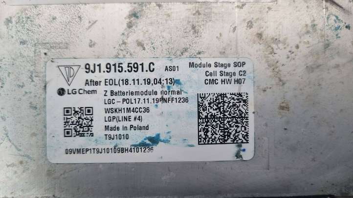 Porsche Taycan 9J1 (2019 - )  9J1915591C Модуль аккумуляторной батареи гибридного автомобиля / электромобиля