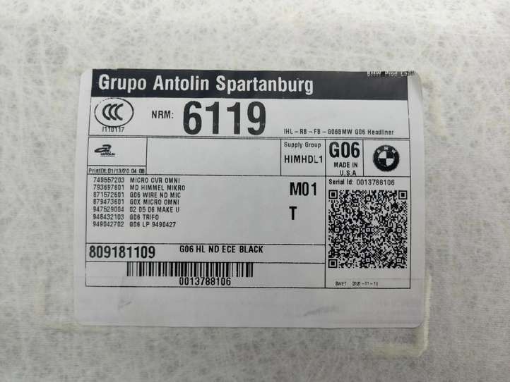 BMW X6 G06 (2019 - )  8099874 Комплект потолка