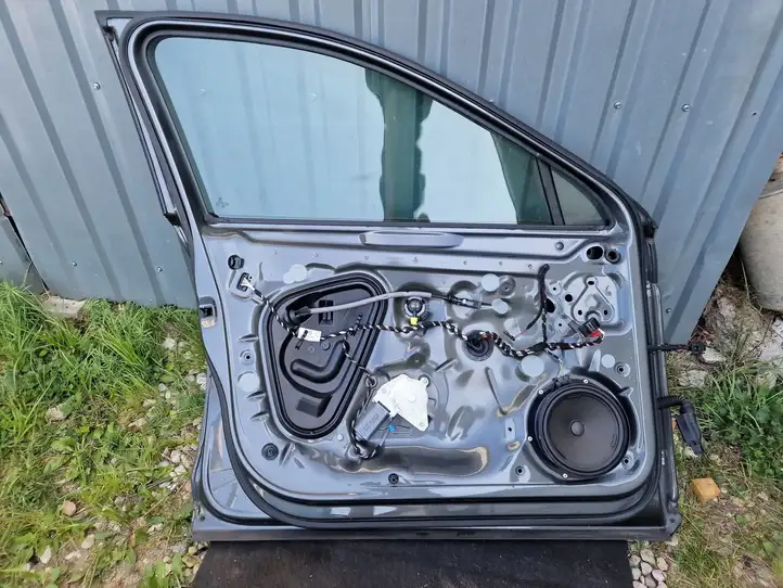Volkswagen PASSAT B8 (2015 - ) Дверь — фото 3