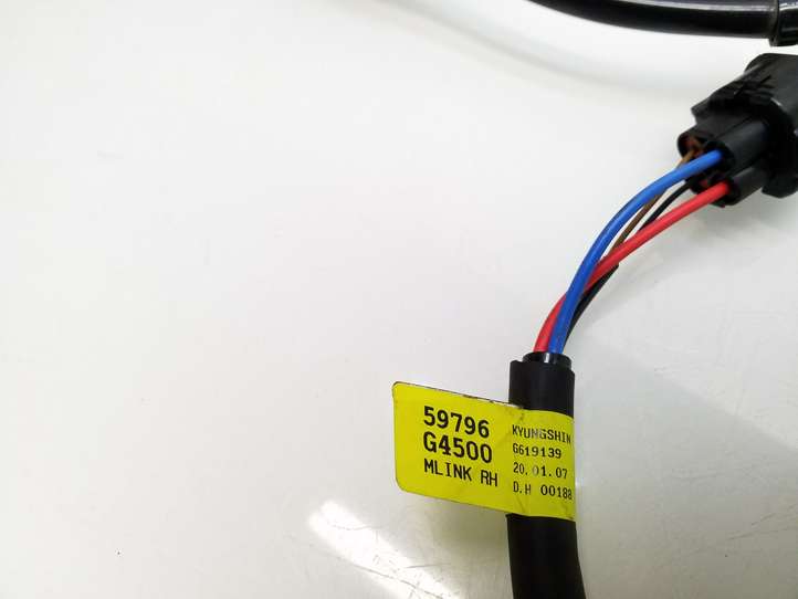 Kia Ceed (2018 - 2021)  59796G4500 Проводка заднего датчика ABS