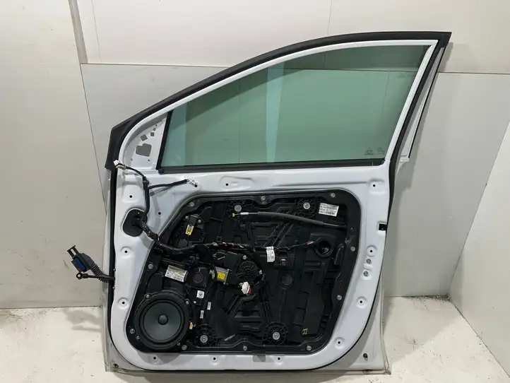 Kia Sportage (2018 - 2021) Дверь — фото 4