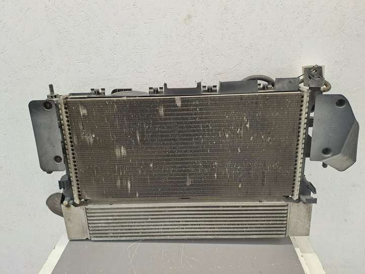Fiat Ducato (2007 - 2014)  1358013080 Комплект радиаторов