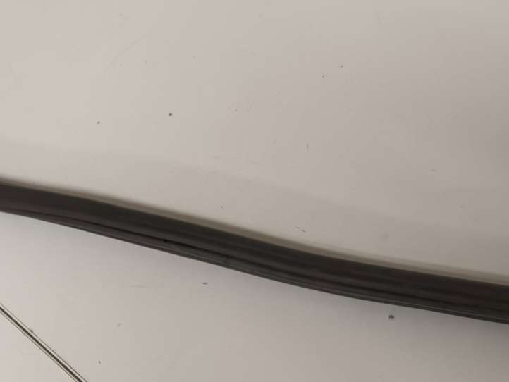 BMW 1 F20 F21 (2011 - 2019)  5172724083408 Уплотнительная резина на задних дверях