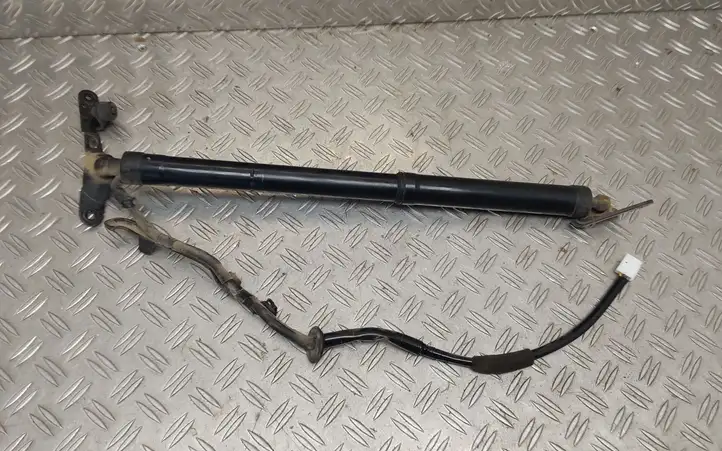 Toyota RAV 4 (XA40) (2012 - 2018) 6892042010 Амортизатор крышки багажника — фото 2