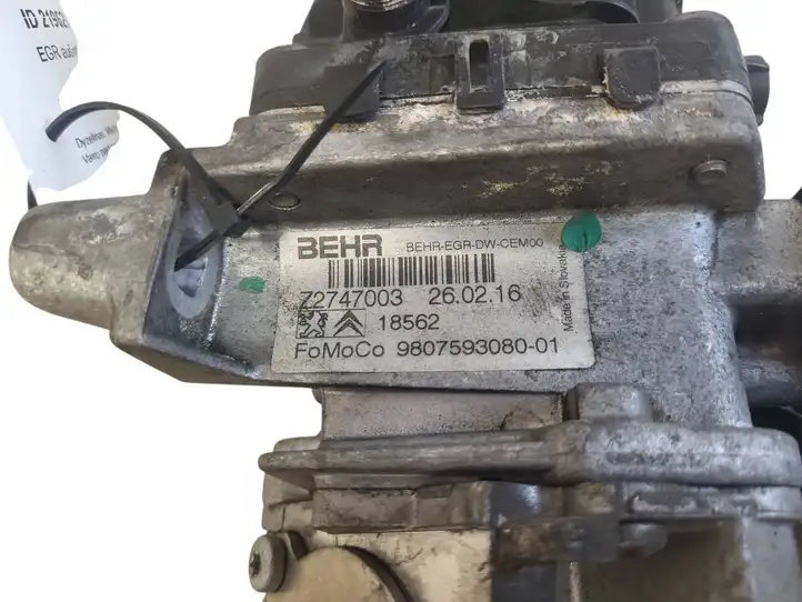 Ford Kuga II (2013 - 2019) 980759308001 Охладитель клапана EGR — фото 6