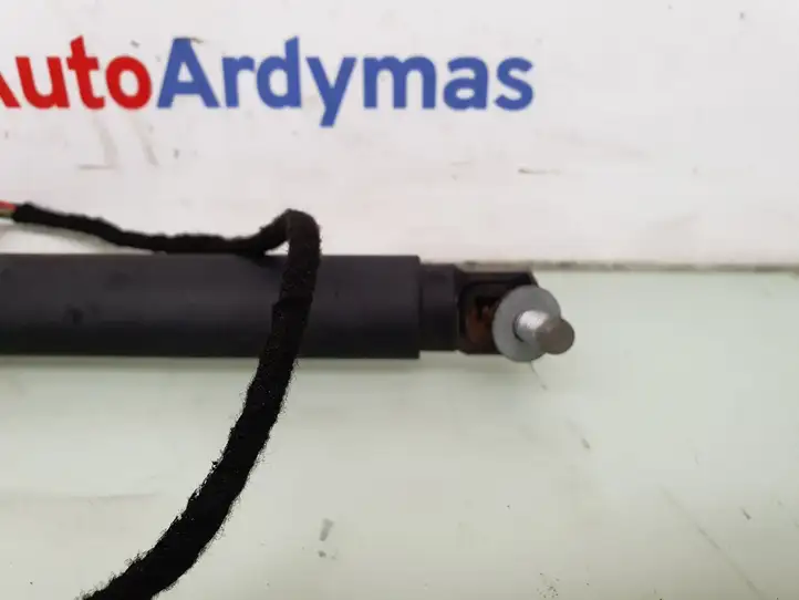 BMW X5 E70 (2006 - 2013)  7286116 Амортизатор задней крышки