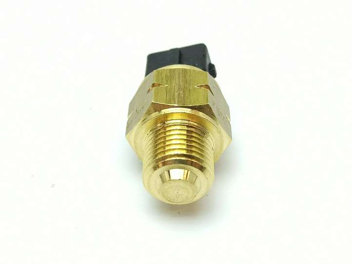 Ligier JS RC (2012 - 2017)  9195108 Датчик температуры охлаждающей жидкости