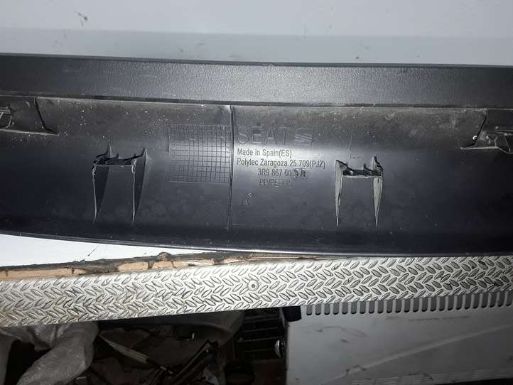 Seat Exeo (3R) (2008 - 2013)  3R9867603B Поручень (верхняя отделка)