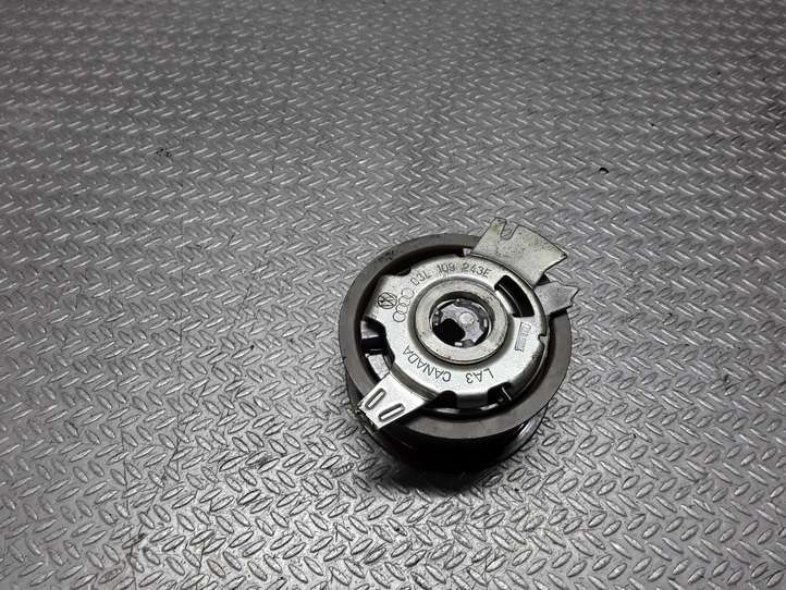 Seat Exeo (3R) (2008 - 2013)  03L109243E Устройство натяжки распределительного ремня / цепи