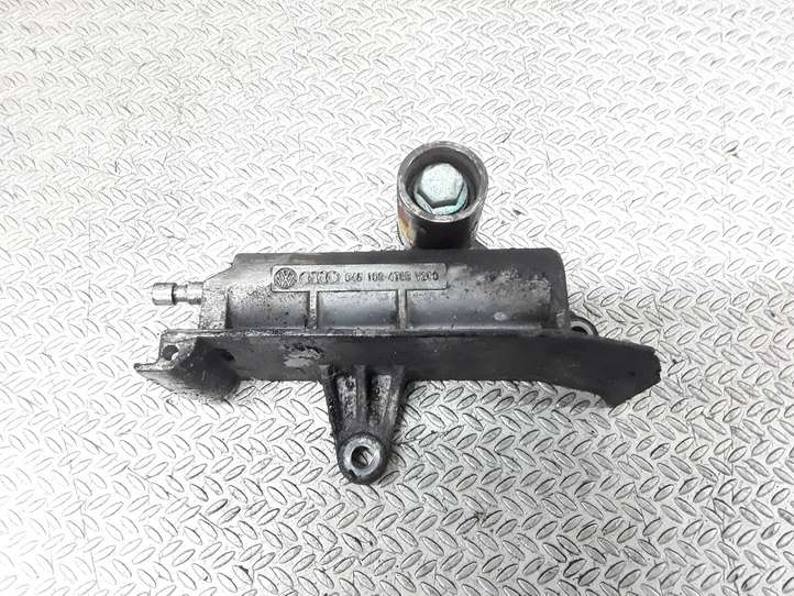 Volkswagen Golf IV (1998 - 2005)  045109479B Устройство натяжки распределительного ремня / цепи