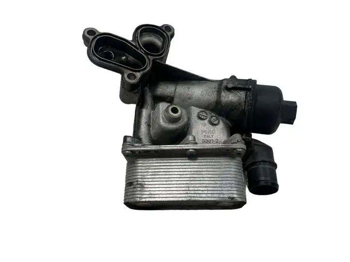 Nissan Qashqai (2006 - 2010) 81844223 Кронштейн масляного фильтра — фото 6