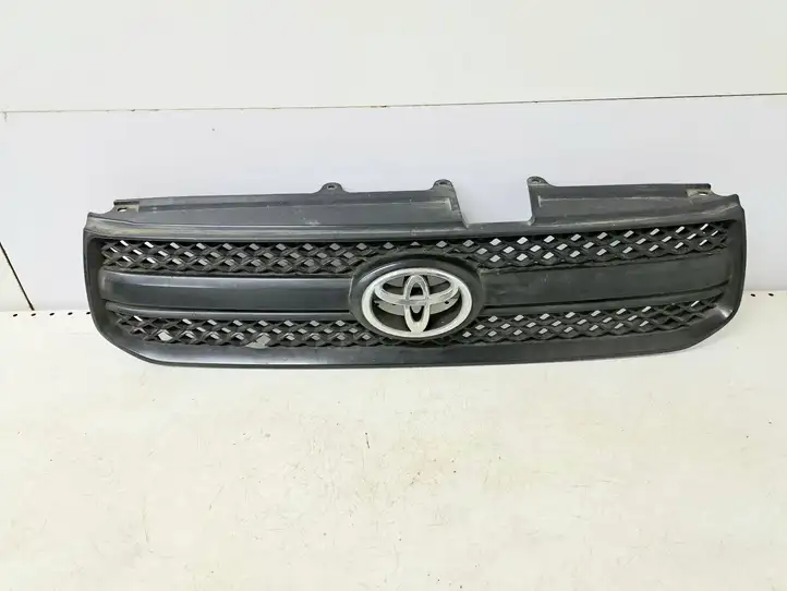 Toyota RAV 4 (XA20) (2000 - 2005) Верхняя решетка радиатора — фото 1