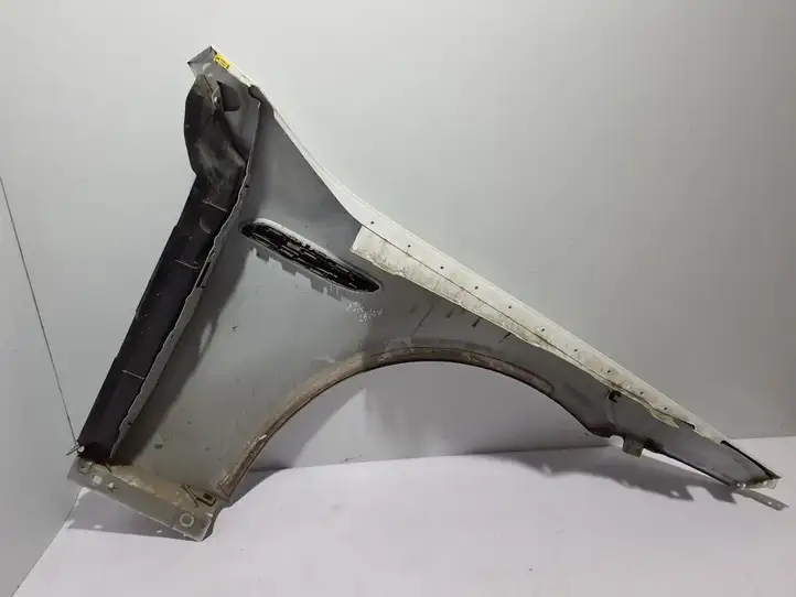 Mercedes-Benz AMG GT 4 x290 w290 (2018 - )  A2908804900 Крыло