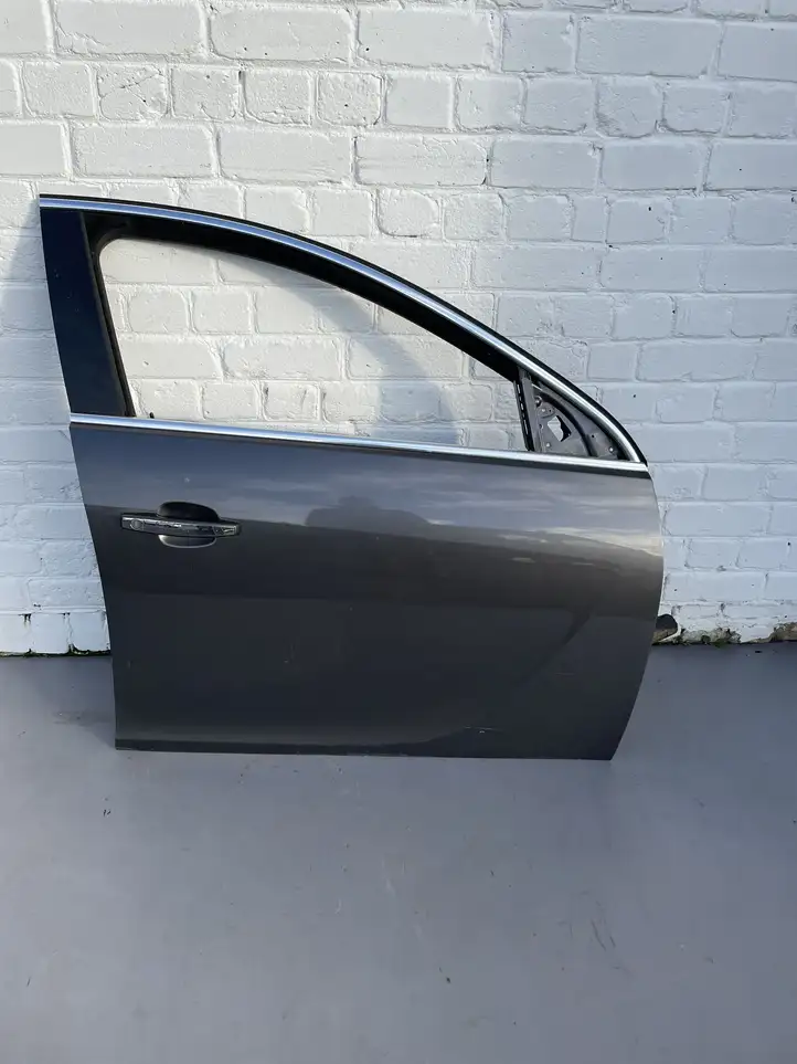 Opel Insignia A (2008 - 2017) Дверь — фото 1