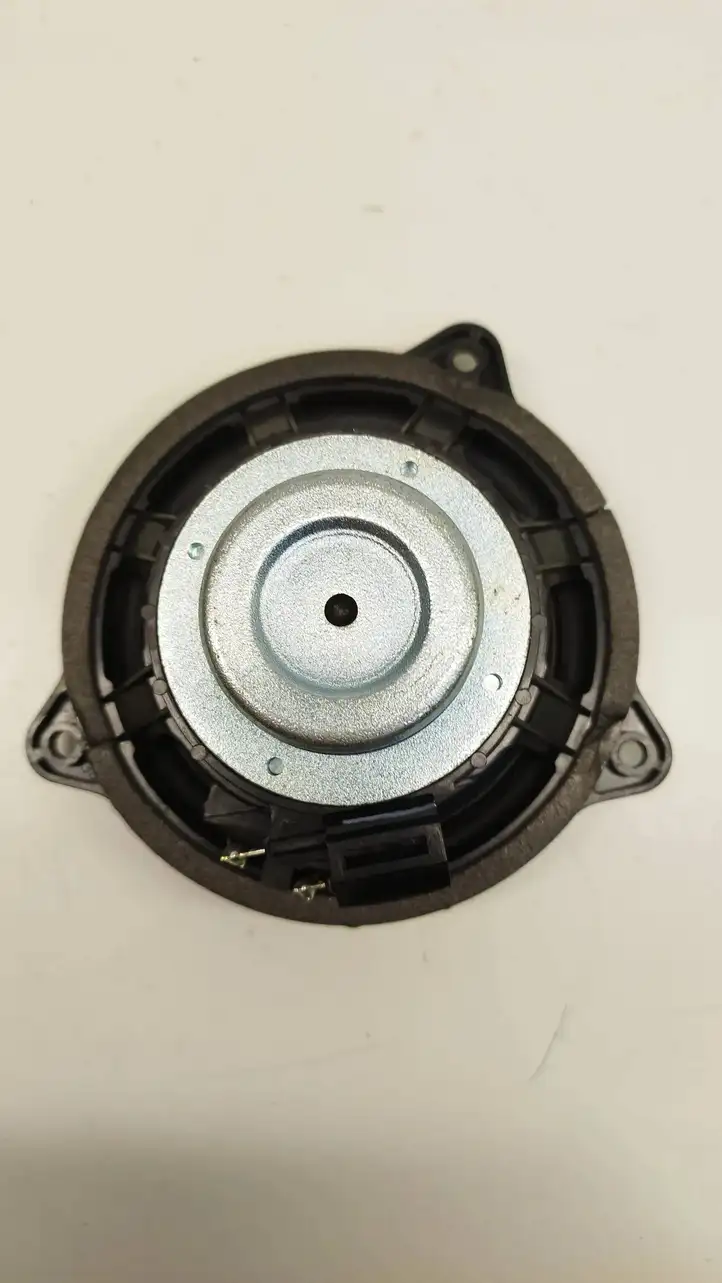 Land Rover Range Rover Sport L494 (2013 - 2017) BJ3218808BB Динамики задних дверей — фото 3