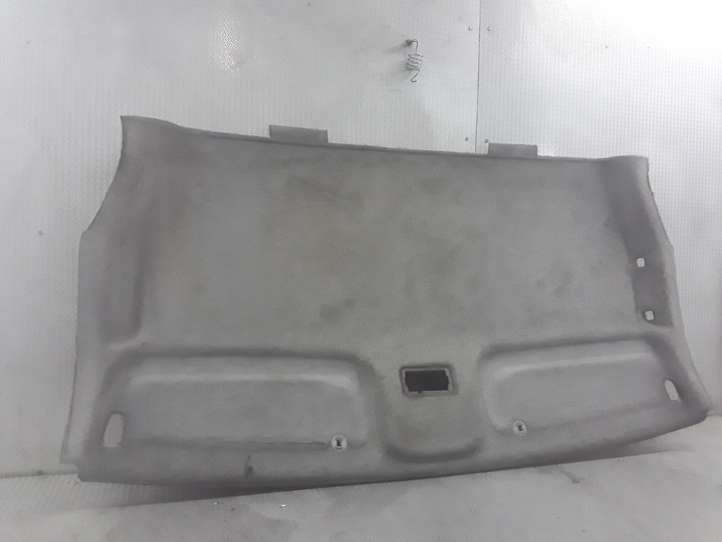 Renault Trafic II (X83) (2002 - 2014)   Потолок