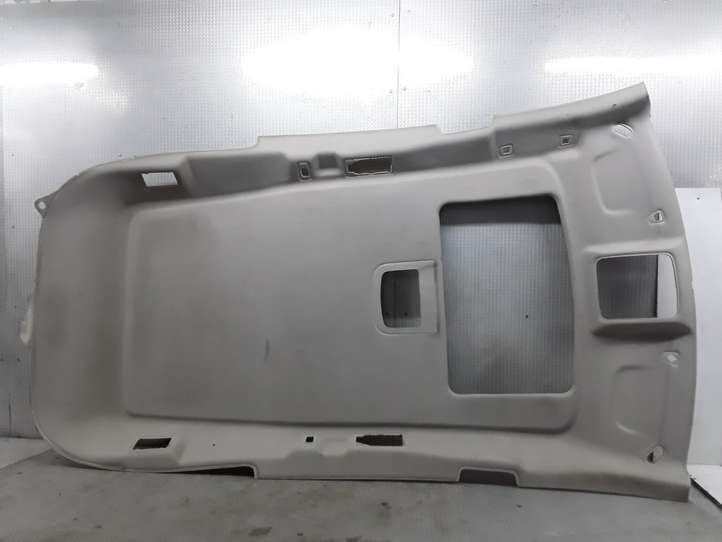 Chrysler Pacifica (2003 - 2008)   Потолок