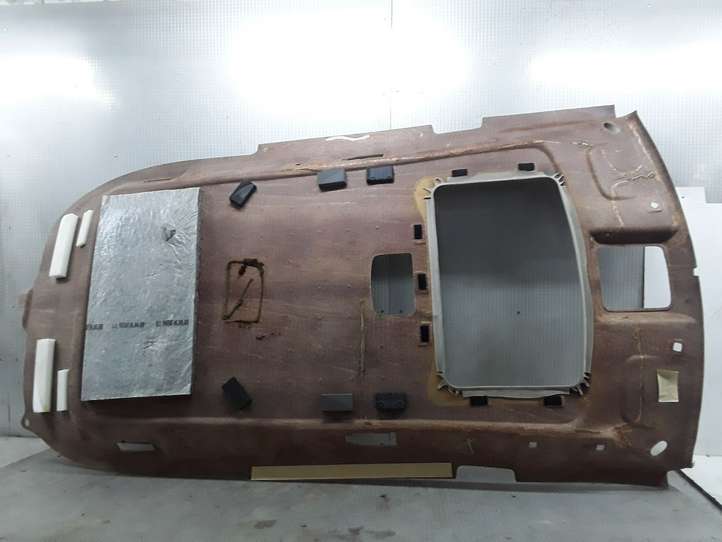 Chrysler Pacifica (2003 - 2008)   Потолок