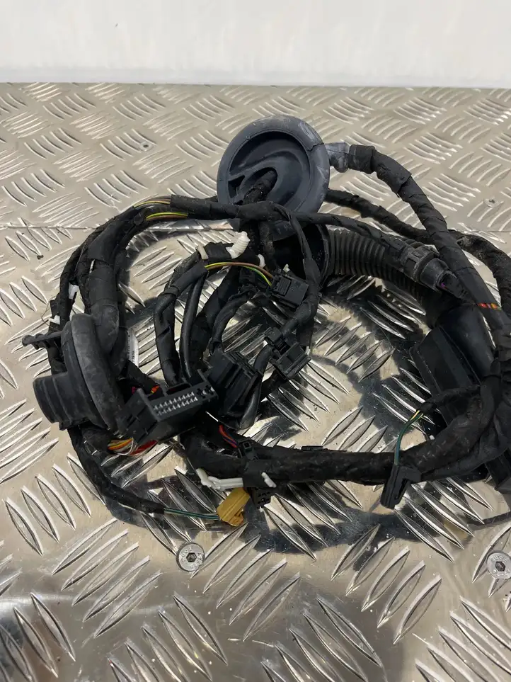 Audi Q5 SQ5 (2008 - 2012) 8R0971687AA Проводка задней двери — фото 4