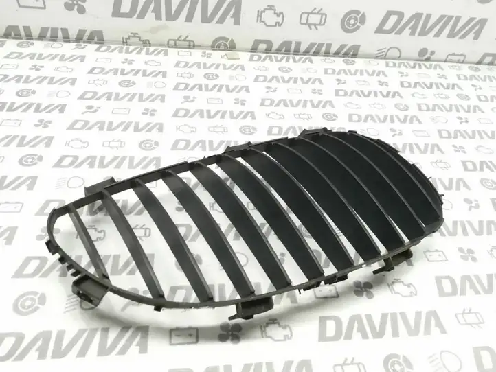 BMW 5 E60 E61 (2004 - 2010) 7065702 Верхняя решетка радиатора — фото 1