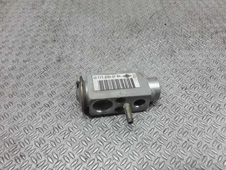 Mercedes-Benz A W169 (2004 - 2012)  1718300184 Клапан расширительный