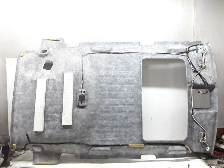 Toyota RAV 4 (XA30) (2006 - 2016)   Потолок