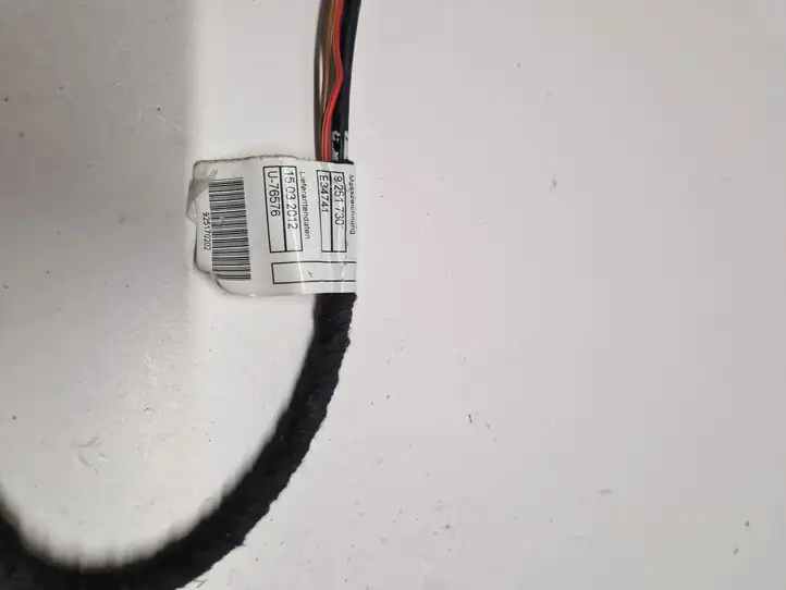 BMW 3 F30 F35 F31 (2012 - 2018) 9251730 Проводка аудиосистемы — фото 4