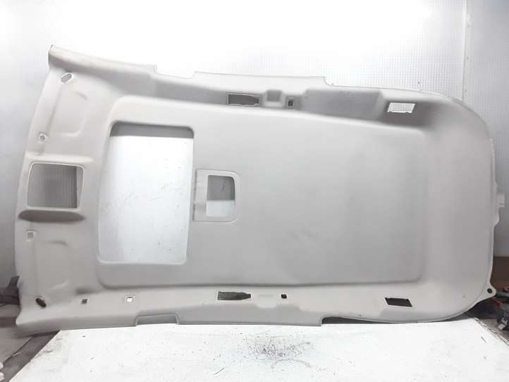 Chrysler Pacifica (2003 - 2008)   Потолок
