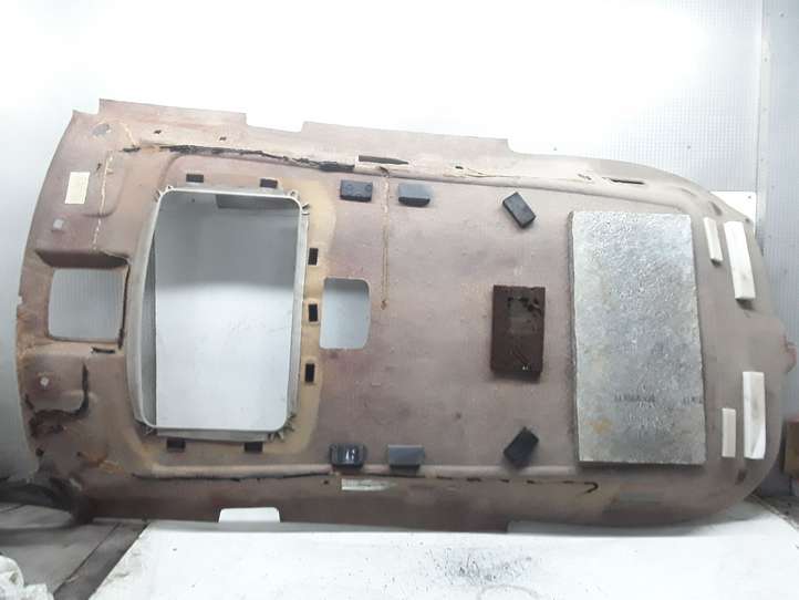 Chrysler Pacifica (2003 - 2008)   Потолок
