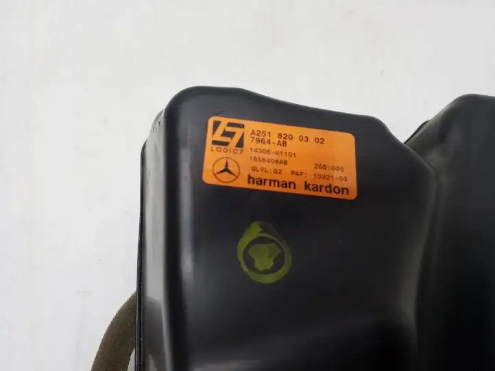 Mercedes-Benz R W251 (2005 - 2013) A2518200302 Твитер задних дверей — фото 5