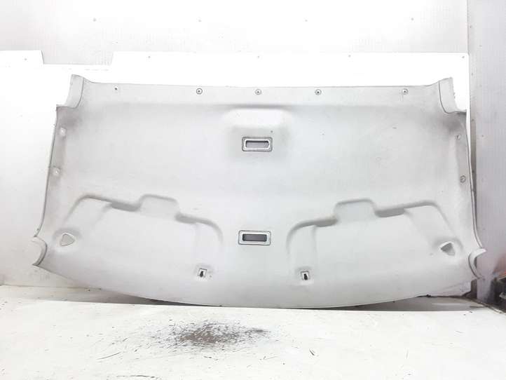 Ford Transit (2006 - 2013)   Потолок