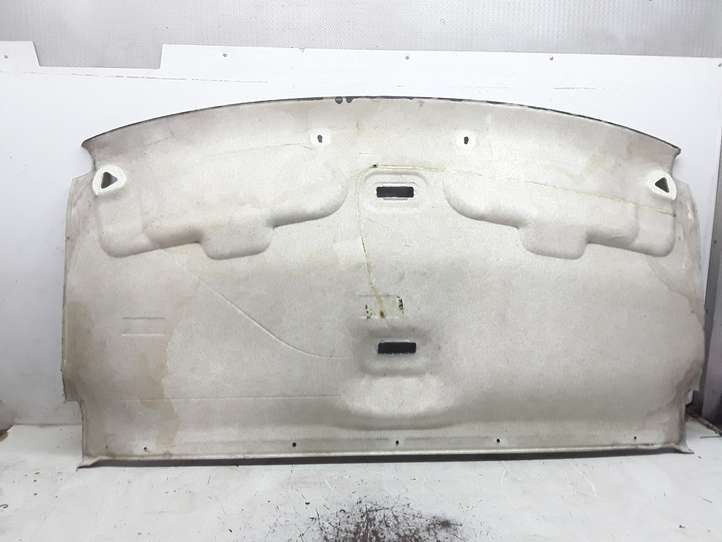 Ford Transit (2006 - 2013)   Потолок