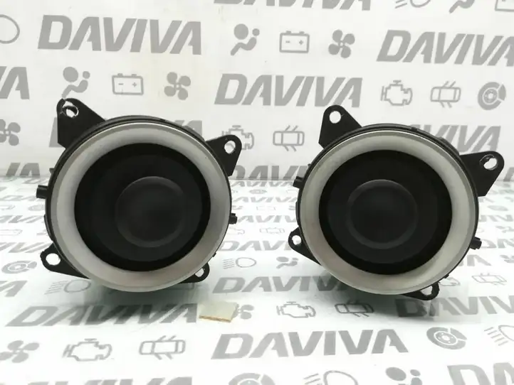 Citroen C3 (2002 - 2009) 9653071677 Боковой воздушный дефлектор — фото 1