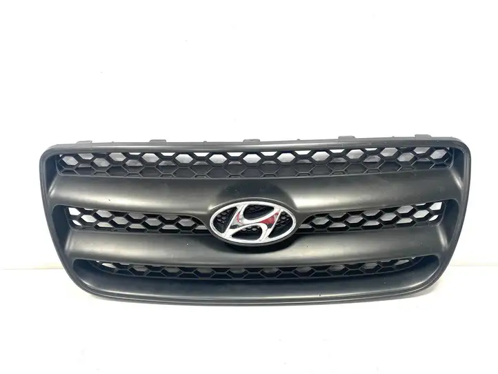 Hyundai Santa Fe (2005 - 2009) E865612B000 Верхняя решетка радиатора — фото 1