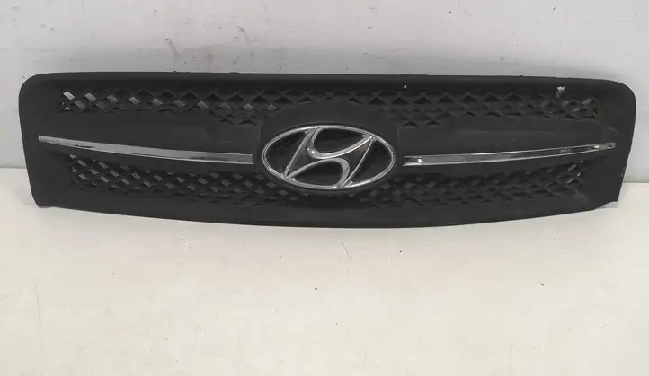 Hyundai Tucson JM (2004 - 2009) Верхняя решетка радиатора — фото 1