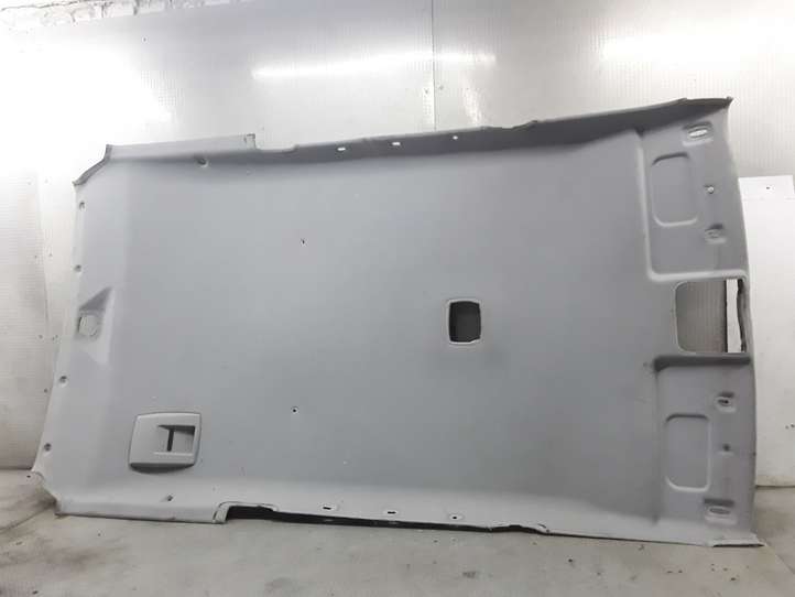 Hyundai Terracan (2004 - 2007)   Потолок