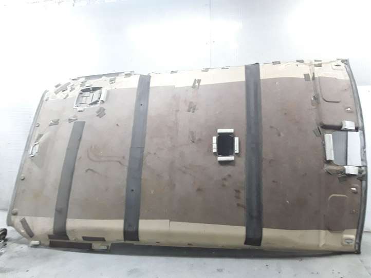 Hyundai Terracan (2004 - 2007)   Потолок