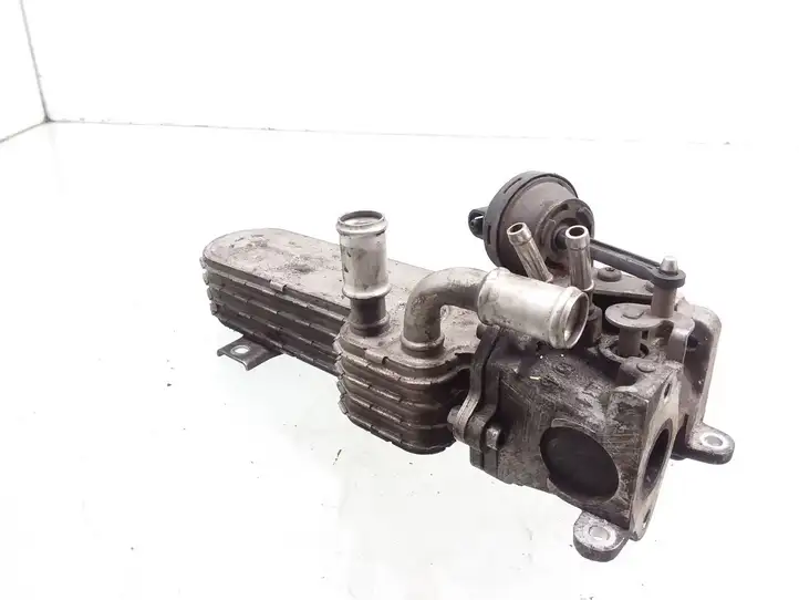 Volkswagen PASSAT B6 (2005 - 2010) 344053239787 Охладитель клапана EGR — фото 1