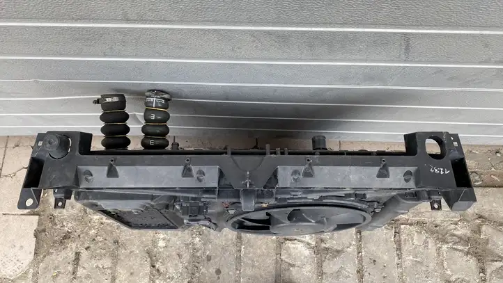 Citroen Berlingo (2003 - 2007) 9680544280 Комплект радиаторов охлаждения — фото 3
