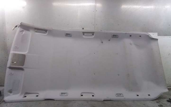 Mitsubishi Grandis (2003 - 2012)   Потолок