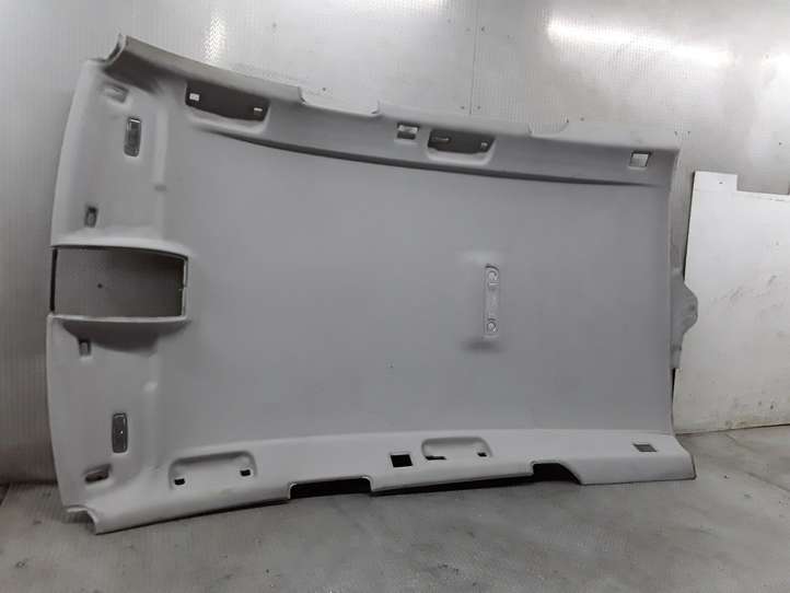 Audi A6 (2004 - 2008)   Потолок