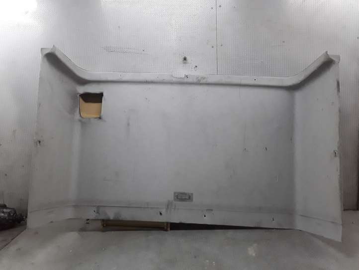 Ford Transit (2006 - 2013)   Потолок