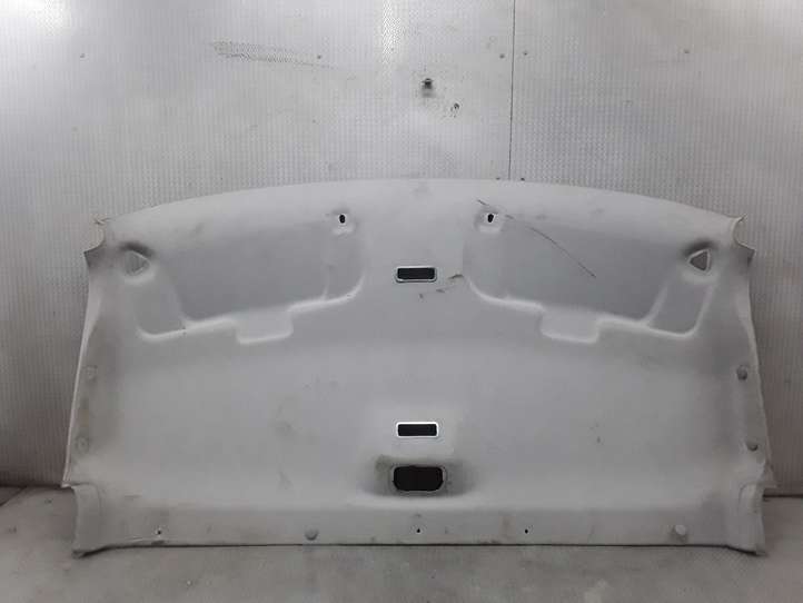 Ford Transit (2006 - 2013)   Потолок