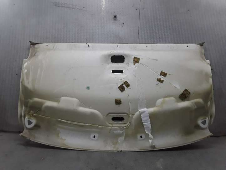 Ford Transit (2006 - 2013)   Потолок