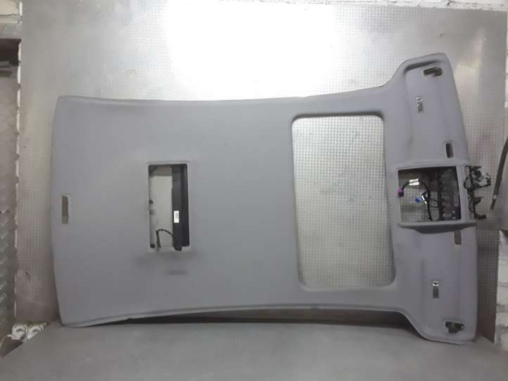 Volkswagen Phaeton (2002 - 2008)  3D5867506C3S3 Потолок