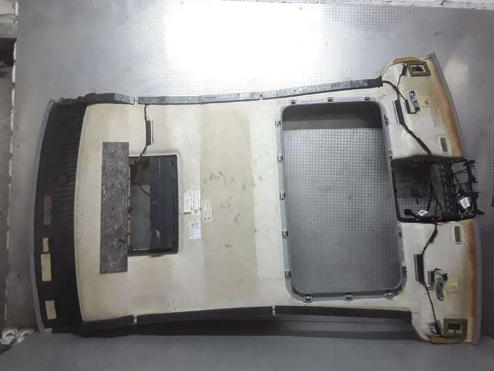 Volkswagen Phaeton (2002 - 2008)  3D5867506C3S3 Потолок